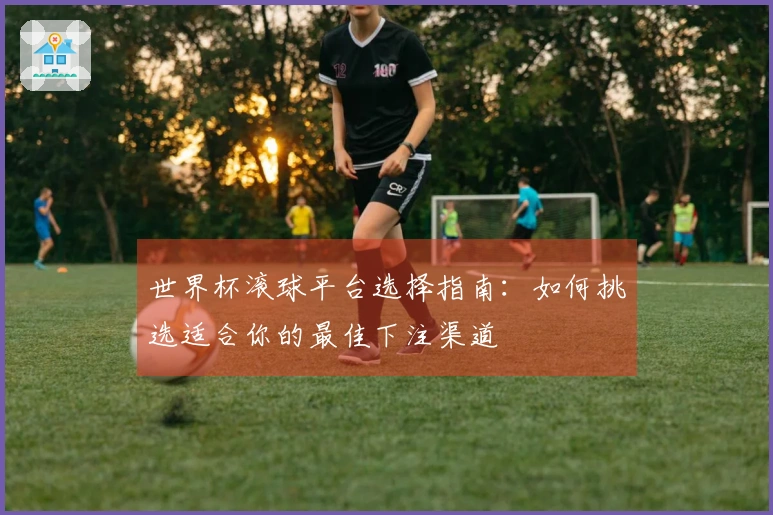 世界杯滚球平台选择指南：如何挑选适合你的最佳下注渠道