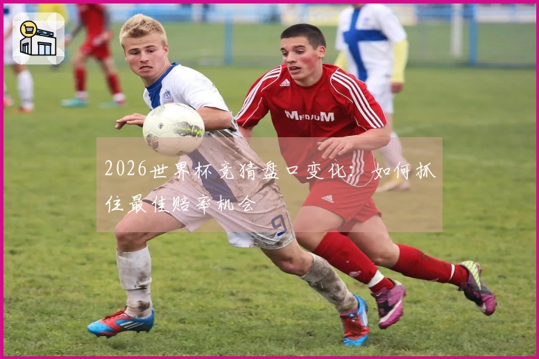 2026世界杯竞猜盘口变化：如何抓住最佳赔率机会