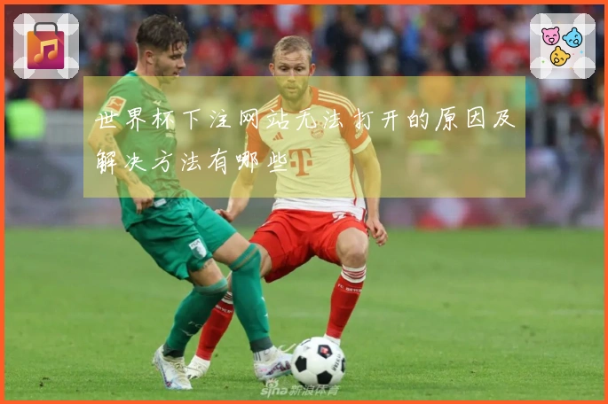 世界杯下注网站无法打开的原因及解决方法有哪些