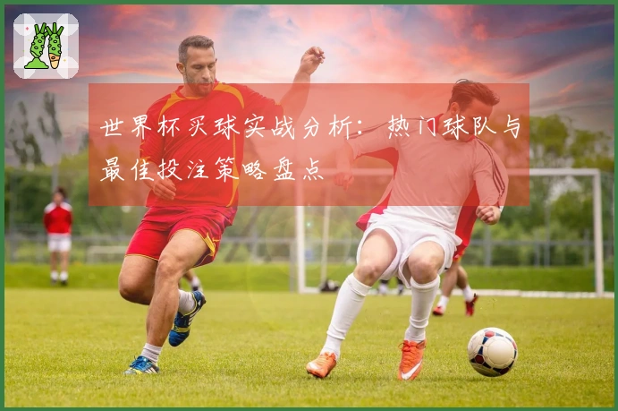 世界杯买球实战分析：热门球队与最佳投注策略盘点