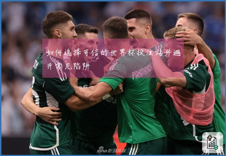 如何选择可信的世界杯投注站并避开常见陷阱