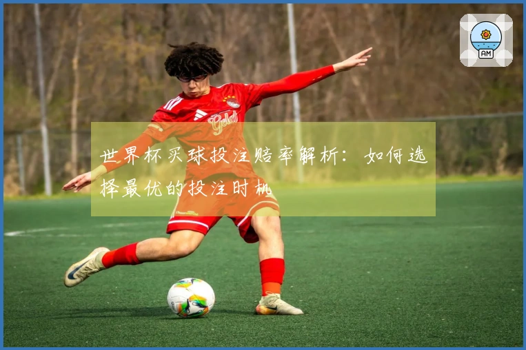 世界杯买球投注赔率解析:如何选择最优的投注时机