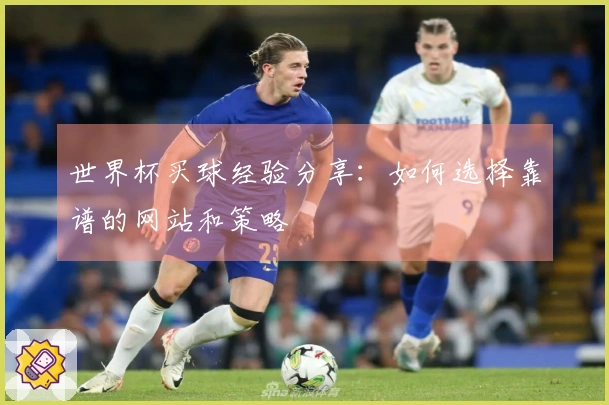世界杯买球经验分享：如何选择靠谱的网站和策略