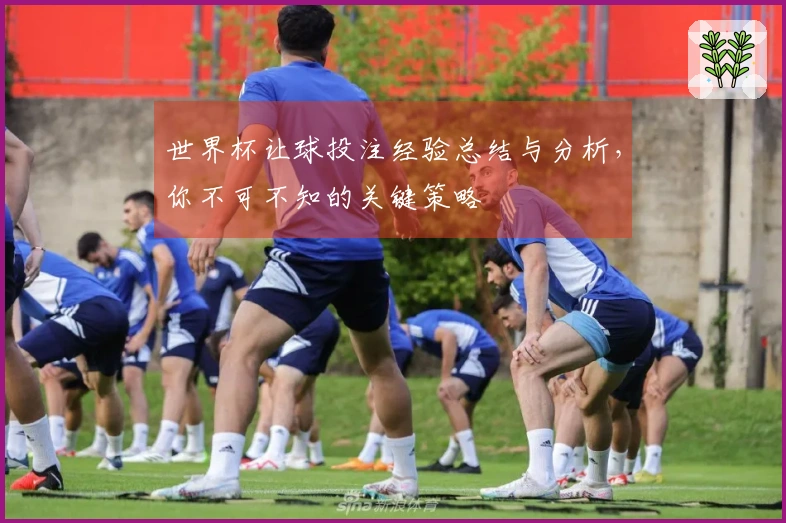 世界杯让球投注经验总结与分析,你不可不知的关键策略