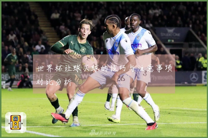 世界杯让球买球的技巧与注意事项对比分析