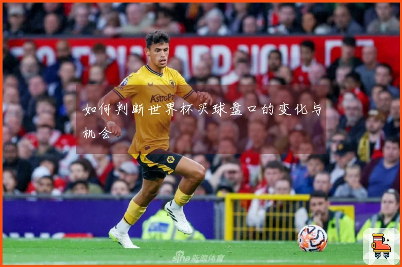 如何判断世界杯买球盘口的变化与机会