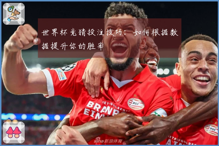 世界杯竞猜投注技巧:如何根据数据提升你的胜率