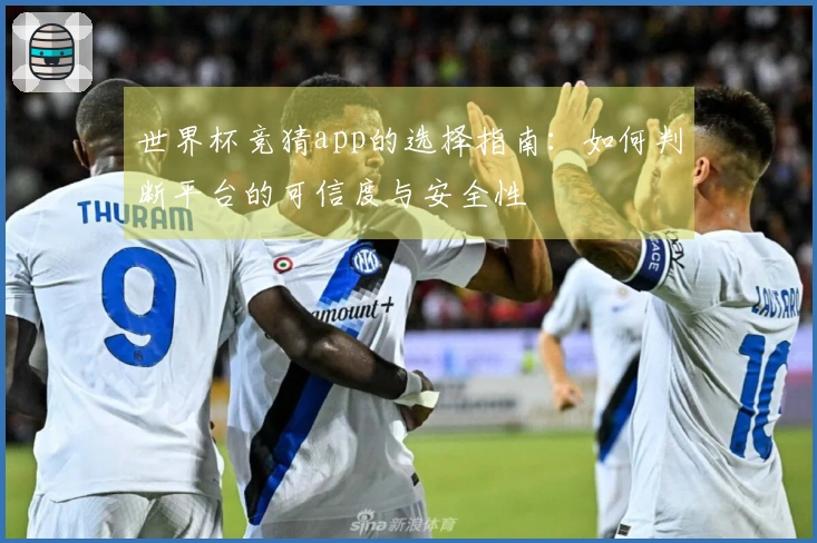 世界杯竞猜app的选择指南：如何判断平台的可信度与安全性