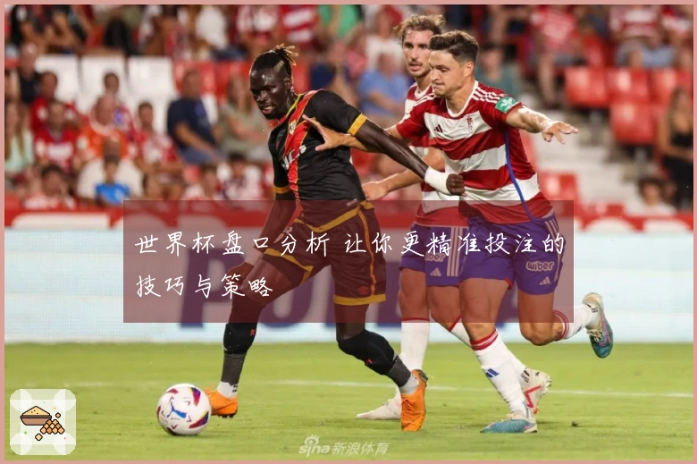 世界杯盘口分析 让你更精准投注的技巧与策略