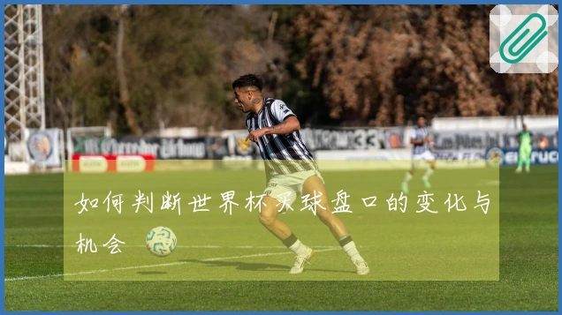 如何判断世界杯买球盘口的变化与机会