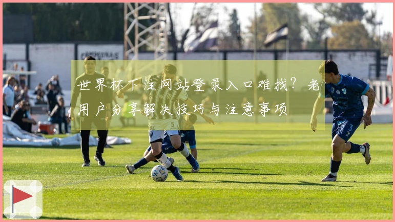 世界杯下注网站登录入口难找？老用户分享解决技巧与注意事项