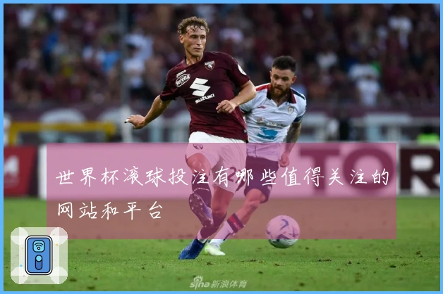 世界杯滚球投注有哪些值得关注的网站和平台