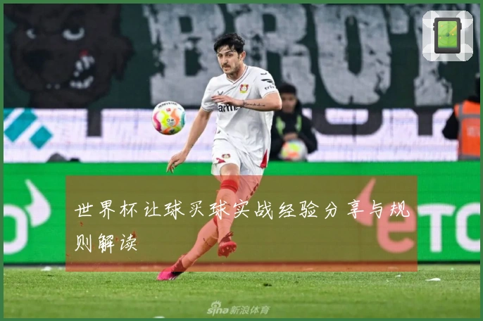 世界杯让球买球实战经验分享与规则解读