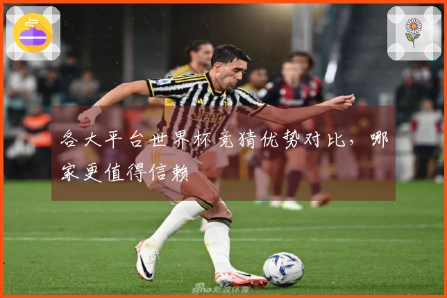 各大平台世界杯竞猜优势对比，哪家更值得信赖