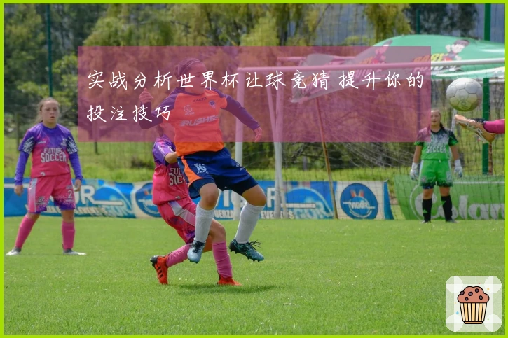 实战分析世界杯让球竞猜 提升你的投注技巧