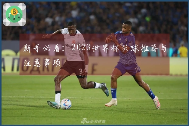 新手必看：2023世界杯买球推荐与注意事项