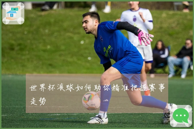 世界杯滚球如何助你精准把握赛事走势