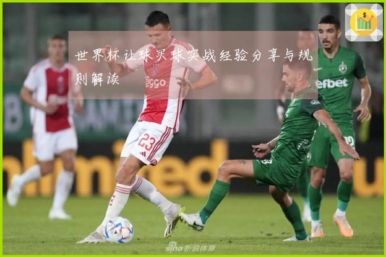 世界杯让球买球实战经验分享与规则解读