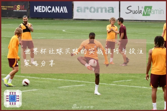 世界杯让球买球的实战技巧与投注策略分享