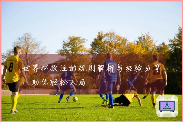 世界杯投注的规则解析与经验分享，助你轻松入局