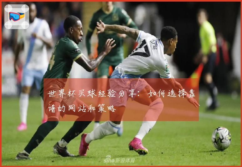 世界杯买球经验分享：如何选择靠谱的网站和策略