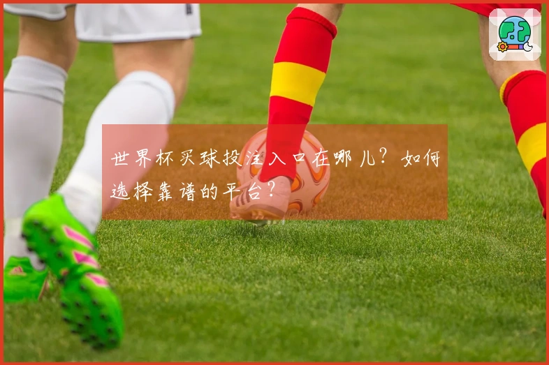 世界杯买球投注入口在哪儿？如何选择靠谱的平台？